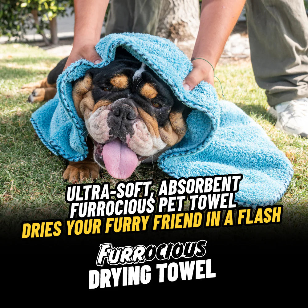 Chemical Guys Clean Pets Bundle - Image 6
