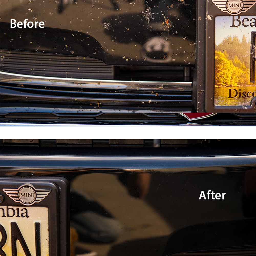Chemical Guys Clean Bug & Tar Remover Car Wash - Image 13